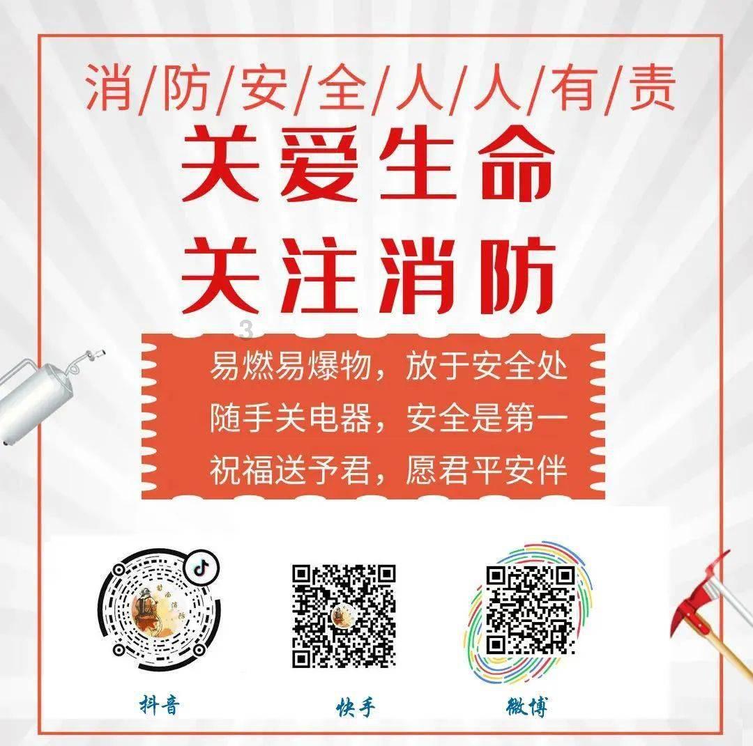 小猫钓鱼正版下载中文版